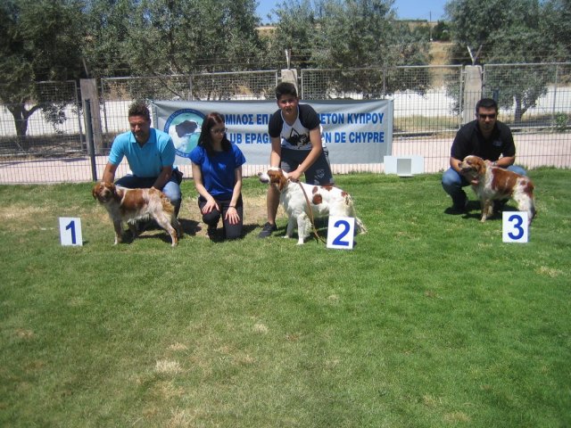 15th national breed show